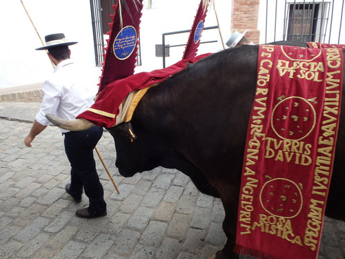 Ox Cart Prosession and Ceremony.